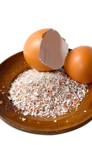 broken-crushed-egg-shells-wood-plate-387589737